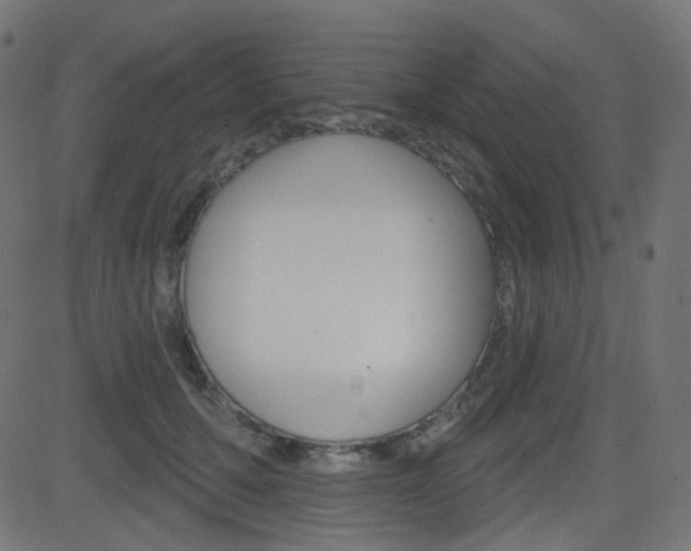 X0000081620607200701151056