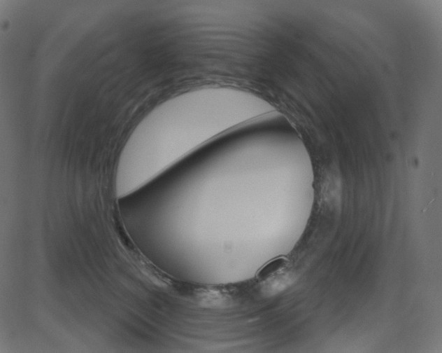 X0000081620616200701151056