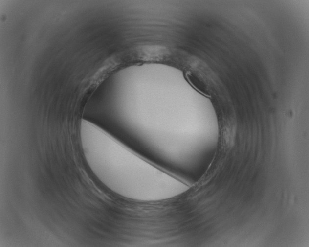 X0000081620620200701151056