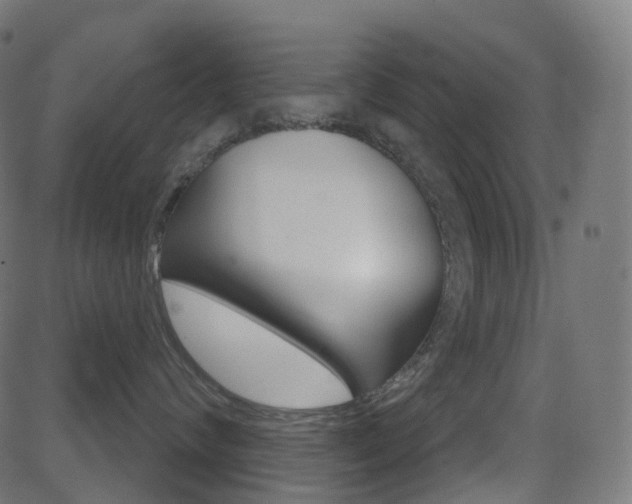 X0000081620624200701151056