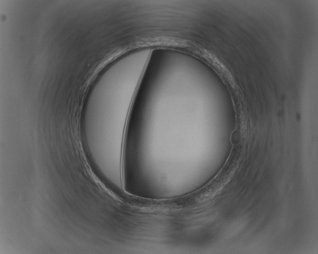 X0000081620625200701151055