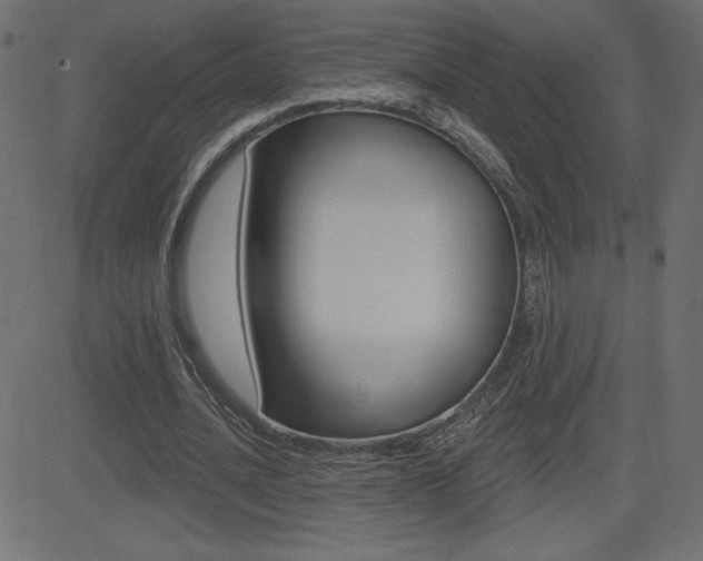 X0000081620628200701151055