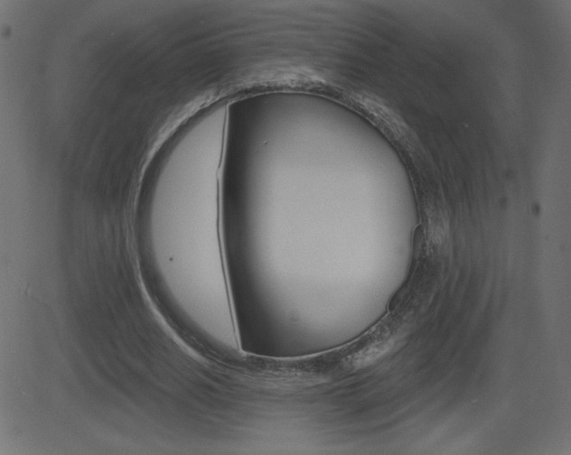 X0000081620630200701151055