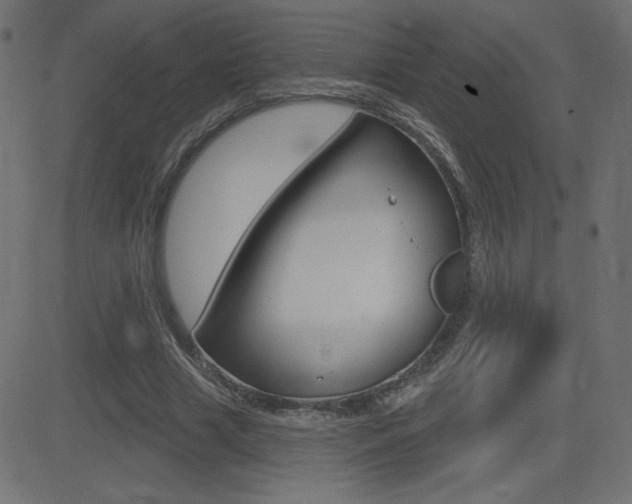 X0000081620633200701151055