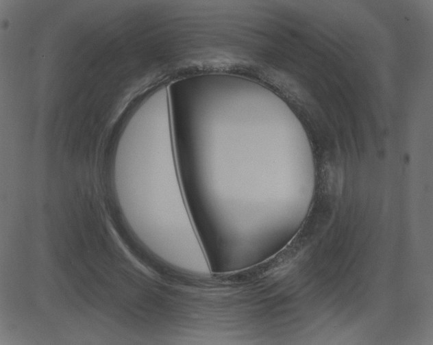 X0000081620638200701151056