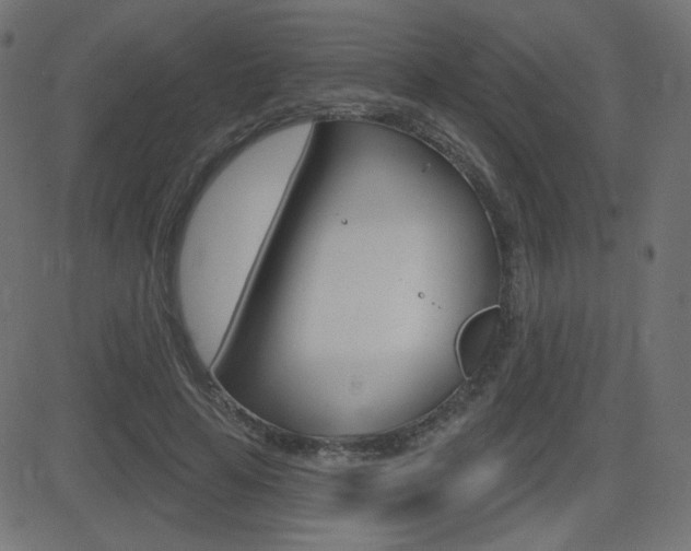 X0000081620641200701151056