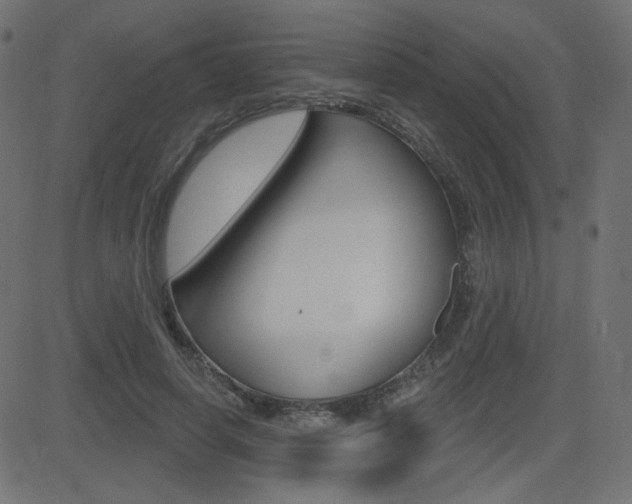 X0000081620642200701151056