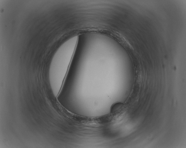 X0000081620643200701151056