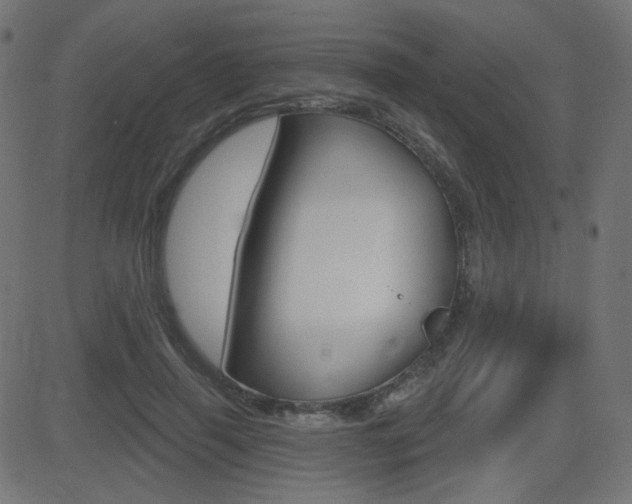 X0000081620645200701151056