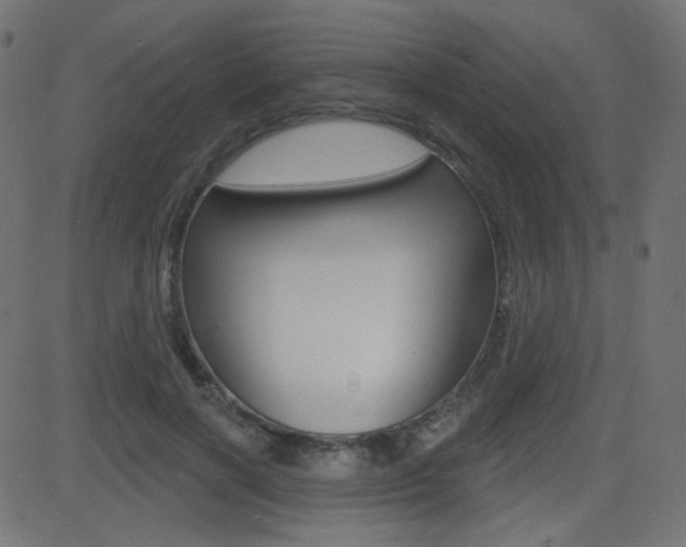 X0000081620646200701151056