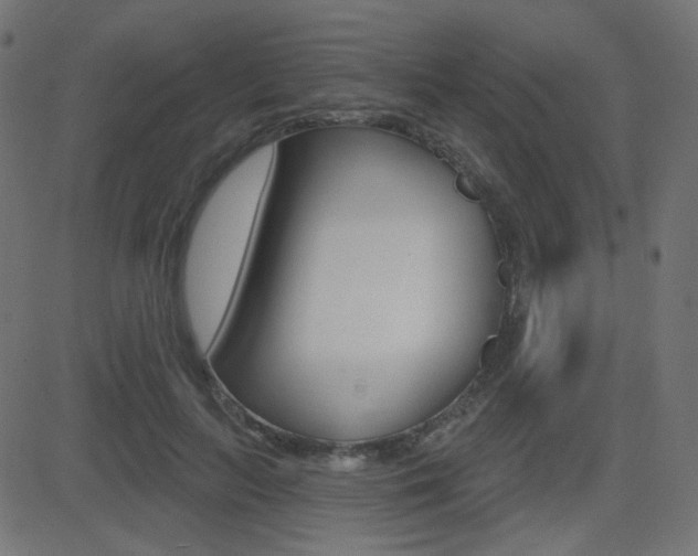 X0000081620647200701151056