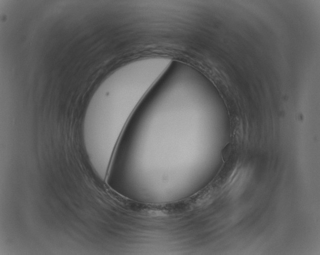 X0000081620649200701151056