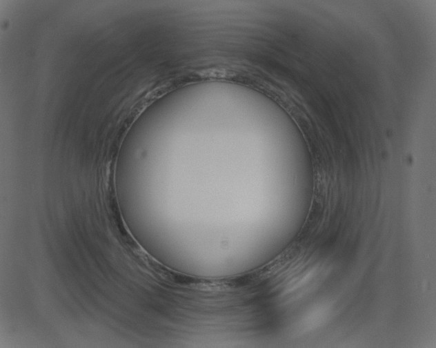 X0000081620652200701151056