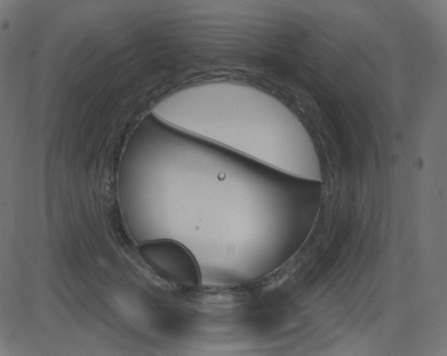 X0000081620653200701151056