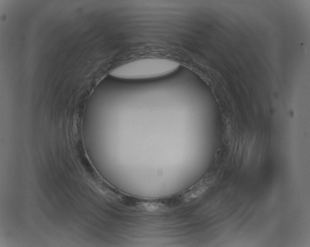 X0000081620654200701151056