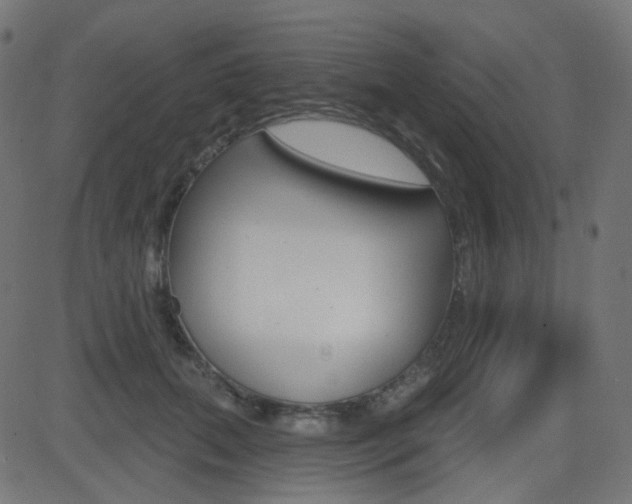X0000081620655200701151056