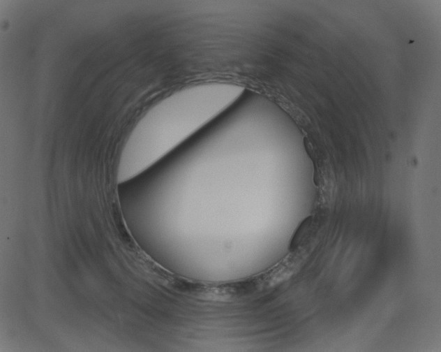 X0000081620656200701151056