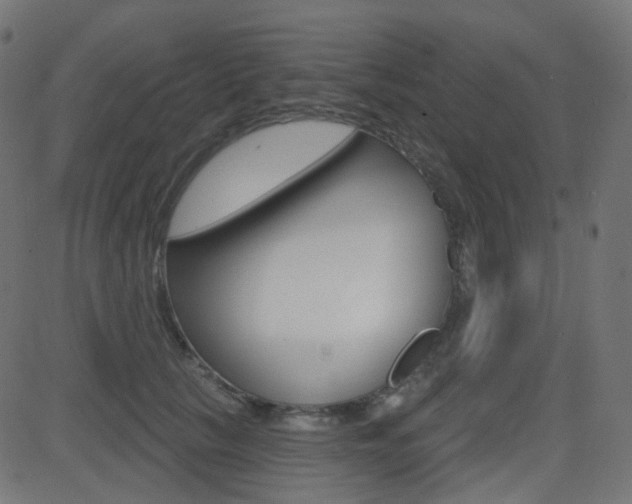 X0000081620657200701151056