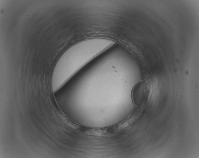 X0000081620661200701151056