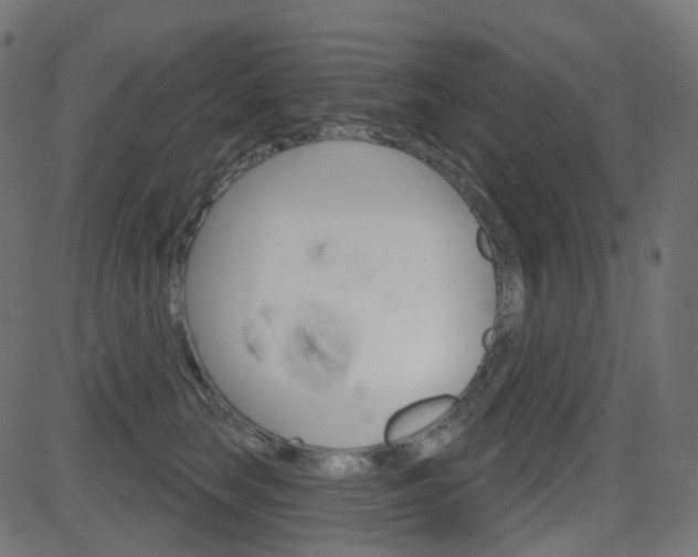 X0000081620663200701151056
