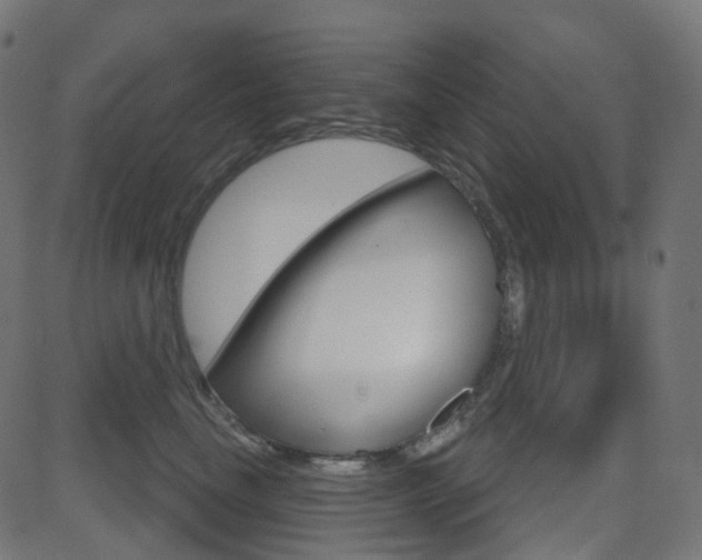 X0000081620665200701151056