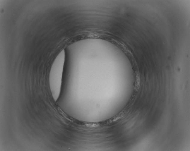 X0000081620667200701151056
