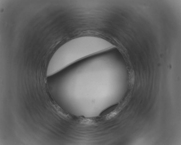 X0000081620669200701151056