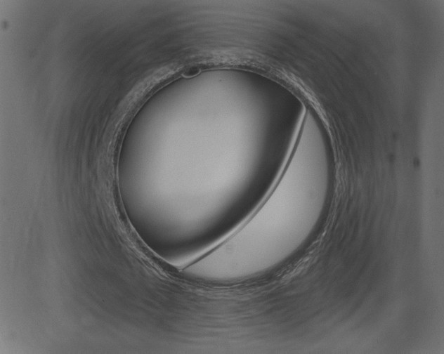 X0000081620673200701151055