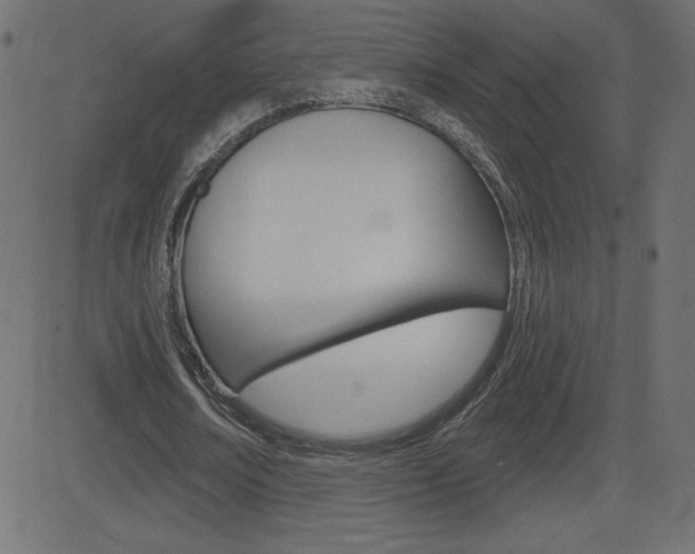 X0000081620674200701151055