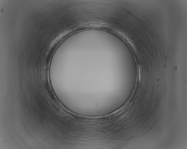 X0000081620675200701151055