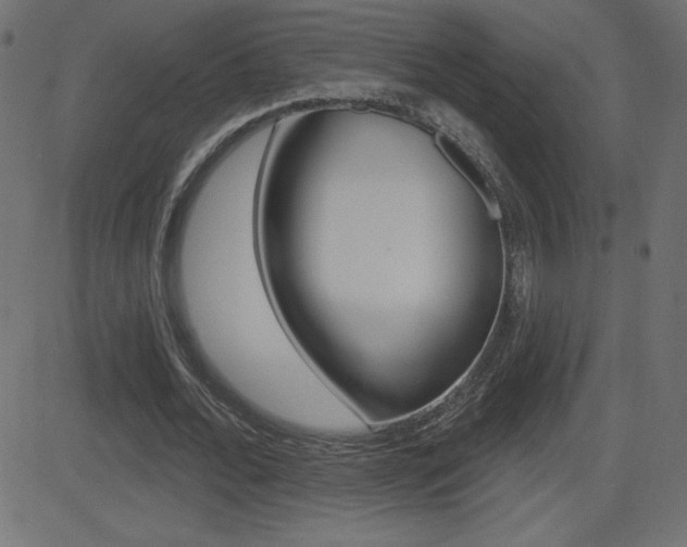X0000081620676200701151055