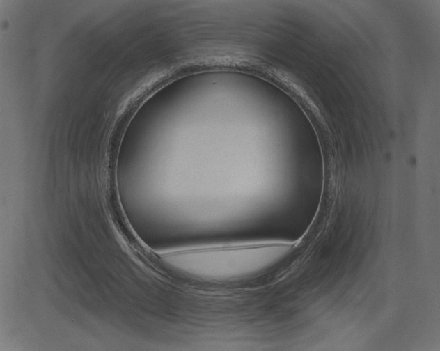 X0000081620677200701151055