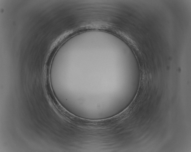 X0000081620678200701151055