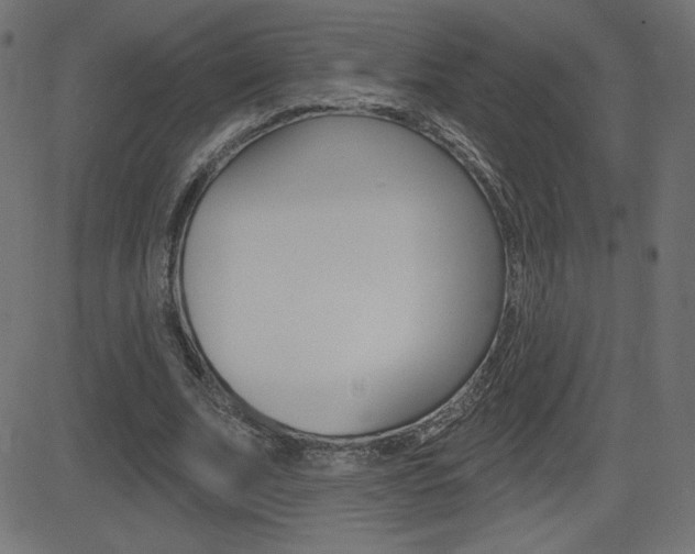 X0000081620679200701151055