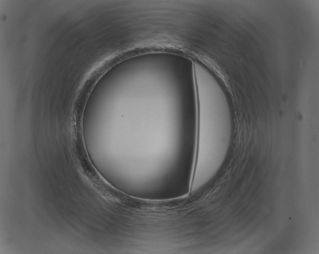 X0000081620680200701151055