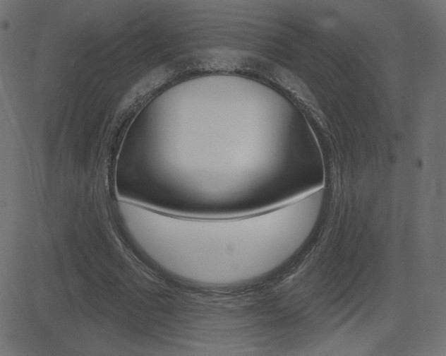 X0000081620681200701151055