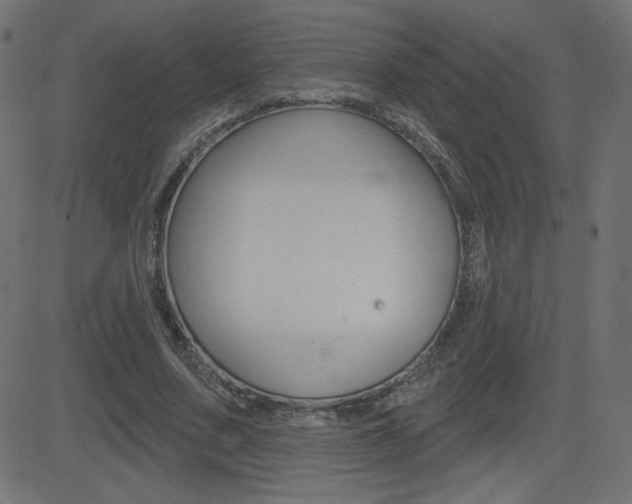 X0000081620683200701151055