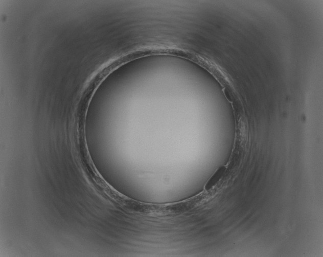 X0000081620684200701151055