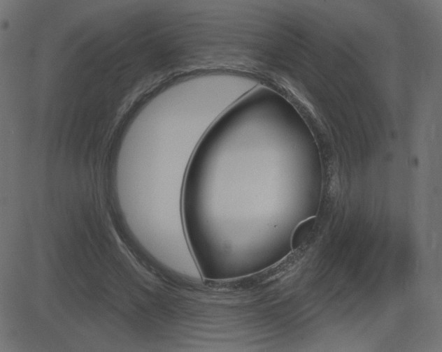 X0000081620685200701151055