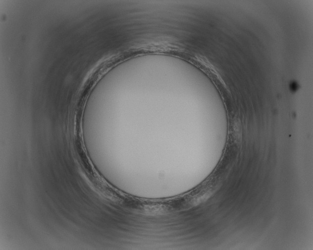 X0000081620686200701151055