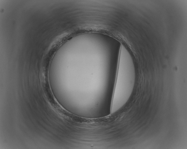 X0000081620688200701151055