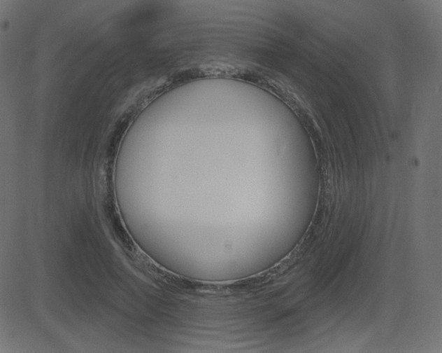 X0000081620690200701151055