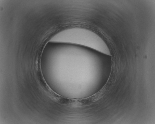 X0000081620696200701151055