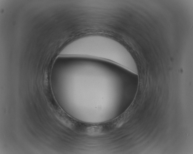 X0000081620700200701151055