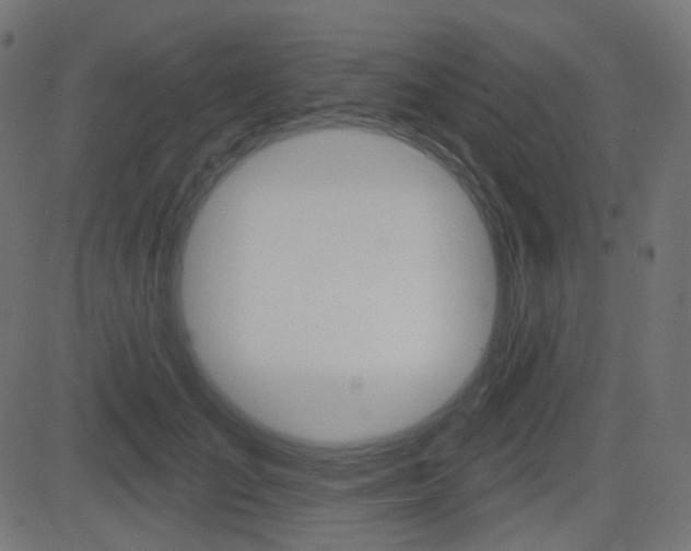 X0000081620701200701151055
