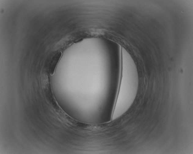 X0000081620704200701151055