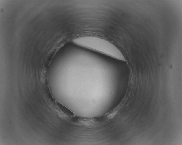 X0000081620712200701151055