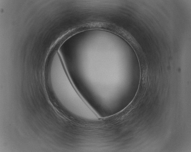 X0000081620722200701151054