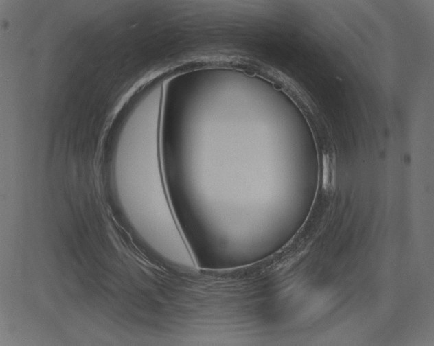 X0000081620723200701151054