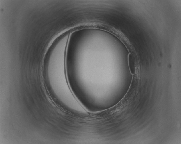 X0000081620724200701151054